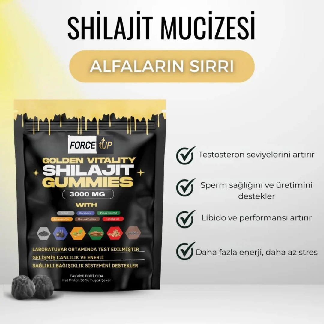 Shilajit-Doğal Testosteron ve Performans Arttırıcı Gıda Takviyesi